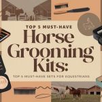 Best Horse Grooming Kits