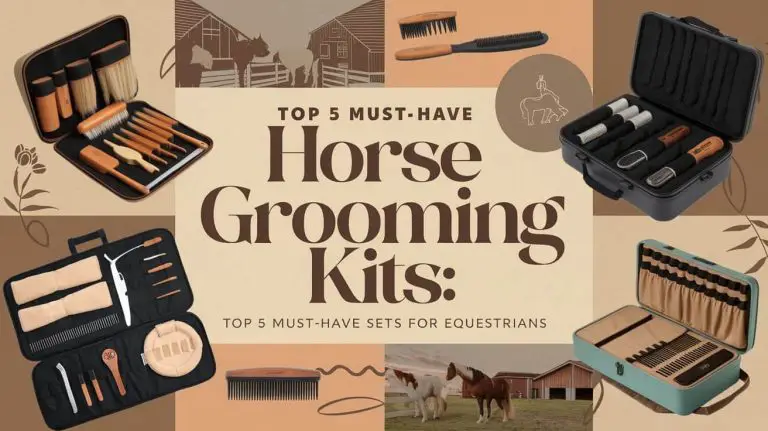 Best Horse Grooming Kits