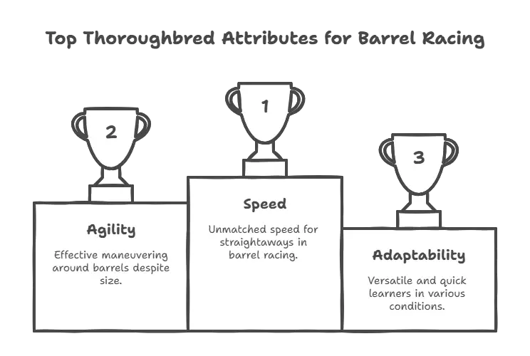 Top Thoroughbred Attributes for Barrel Racing
