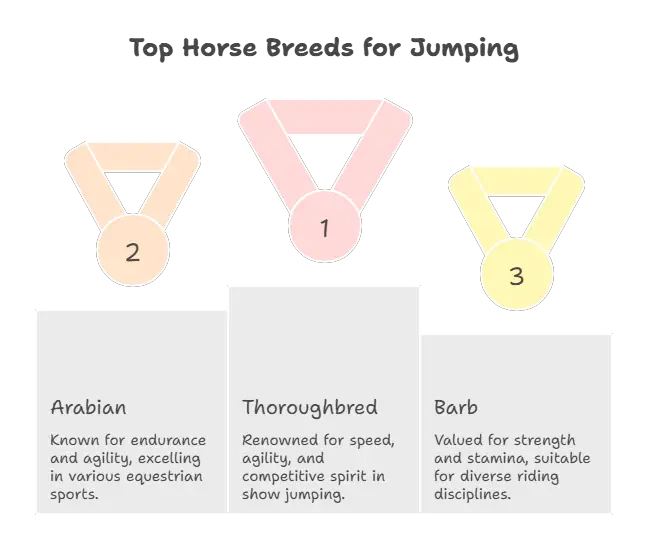 Top Horse Breeds for Jumping