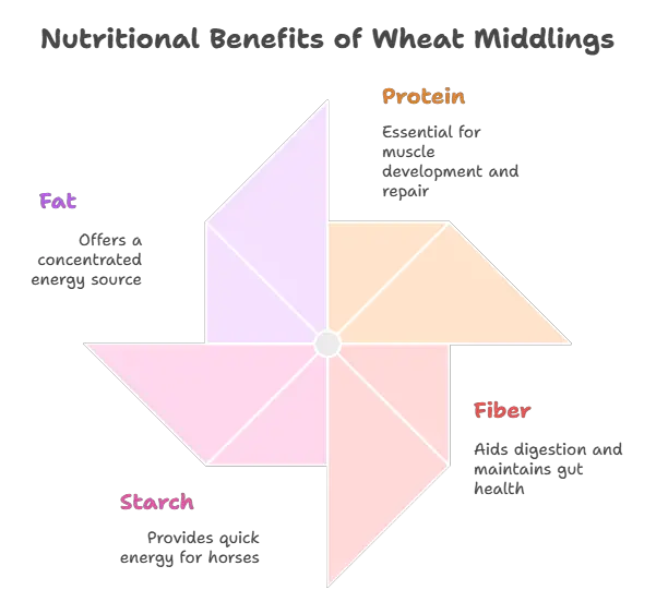 Nutritional Benefits of Wheat Middlings