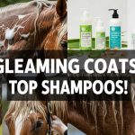 Best Horse Shampoos for a Dazzling Coat