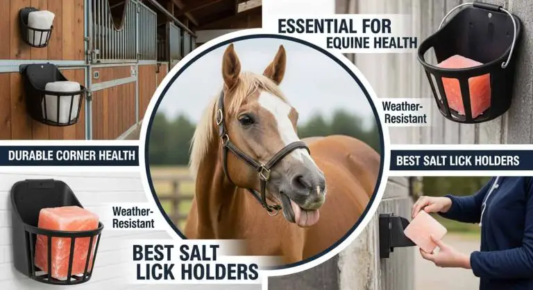 Best Horse Salt Lick Holder